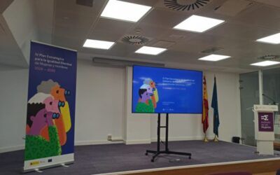 Colectivos feministas se reúnen con el Instituto de las Mujeres