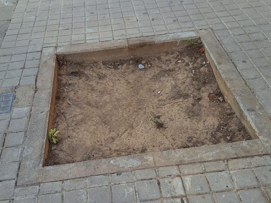CAMPAÑA ¡AQUÍ FALTA UN ÁRBOL!